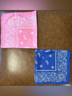 Pink and Blue Paisley Bandanas - Set of 2